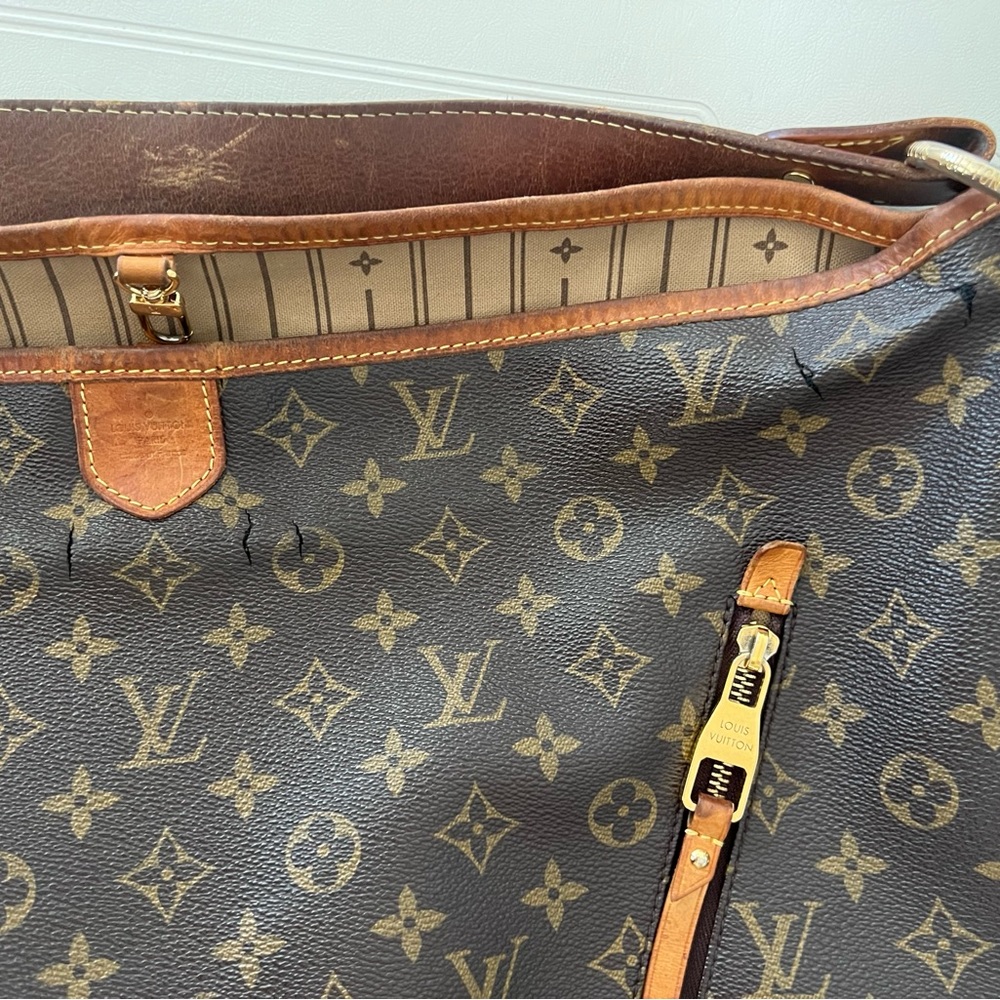 Auth Louis Vuitton Delightful Gm #N9546V26O - Picture 13 of 16